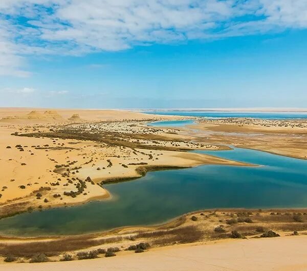 Day Trip to Fayoum Oasis from Cairo