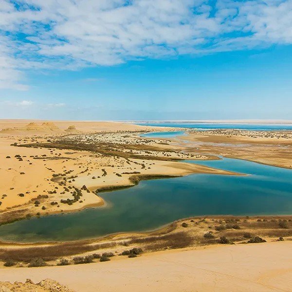 Day Trip to Fayoum Oasis from Cairo