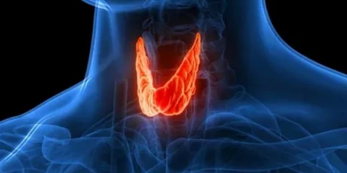 Find-the-Best-Parathyroid-Diseases-Doctors-in-Delhi