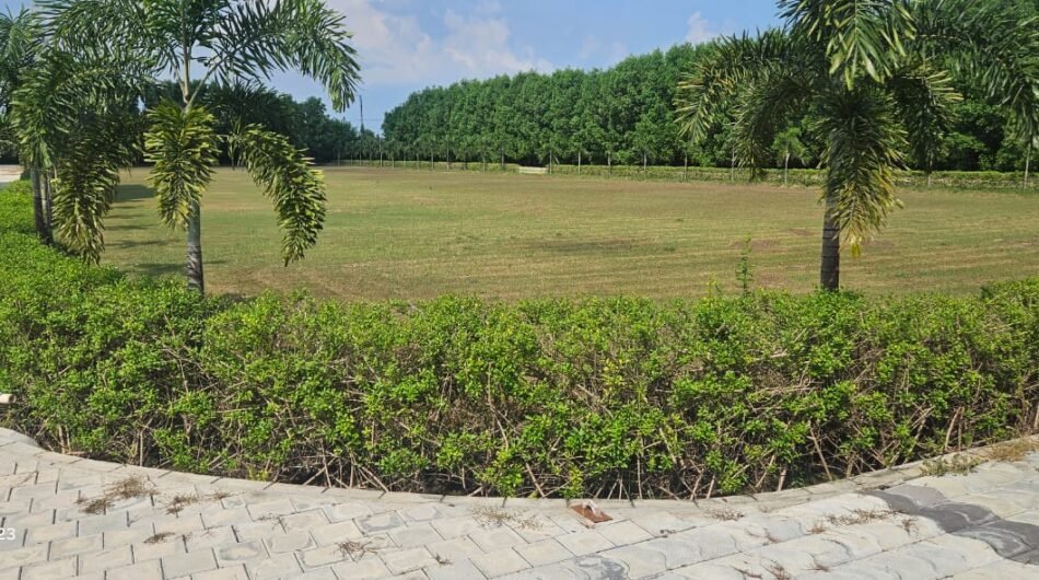 The Grand Banquet and Lawn – Wedding Venue in Lucknow