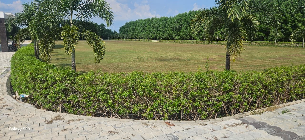 The Grand Banquet and Lawn – Wedding Venue in Lucknow