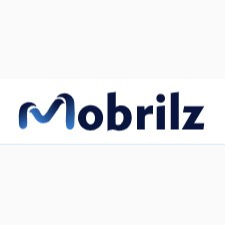 Mobrilz-pvt-logo