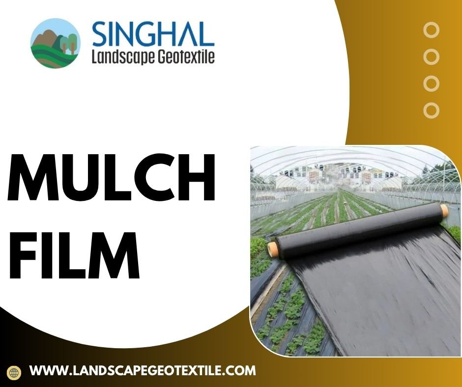 Top Biodegradable Mulch Film Plant Manufacturers | Red & Black Film Options