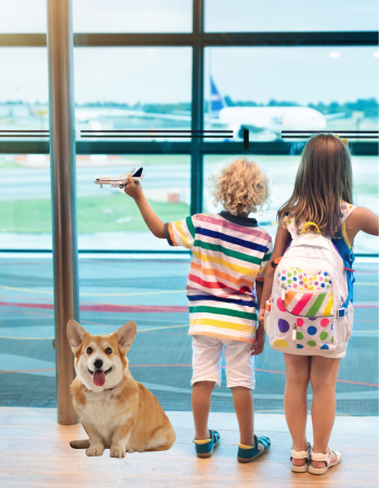 Politicas-de-viaje-especiales-con-Avianca