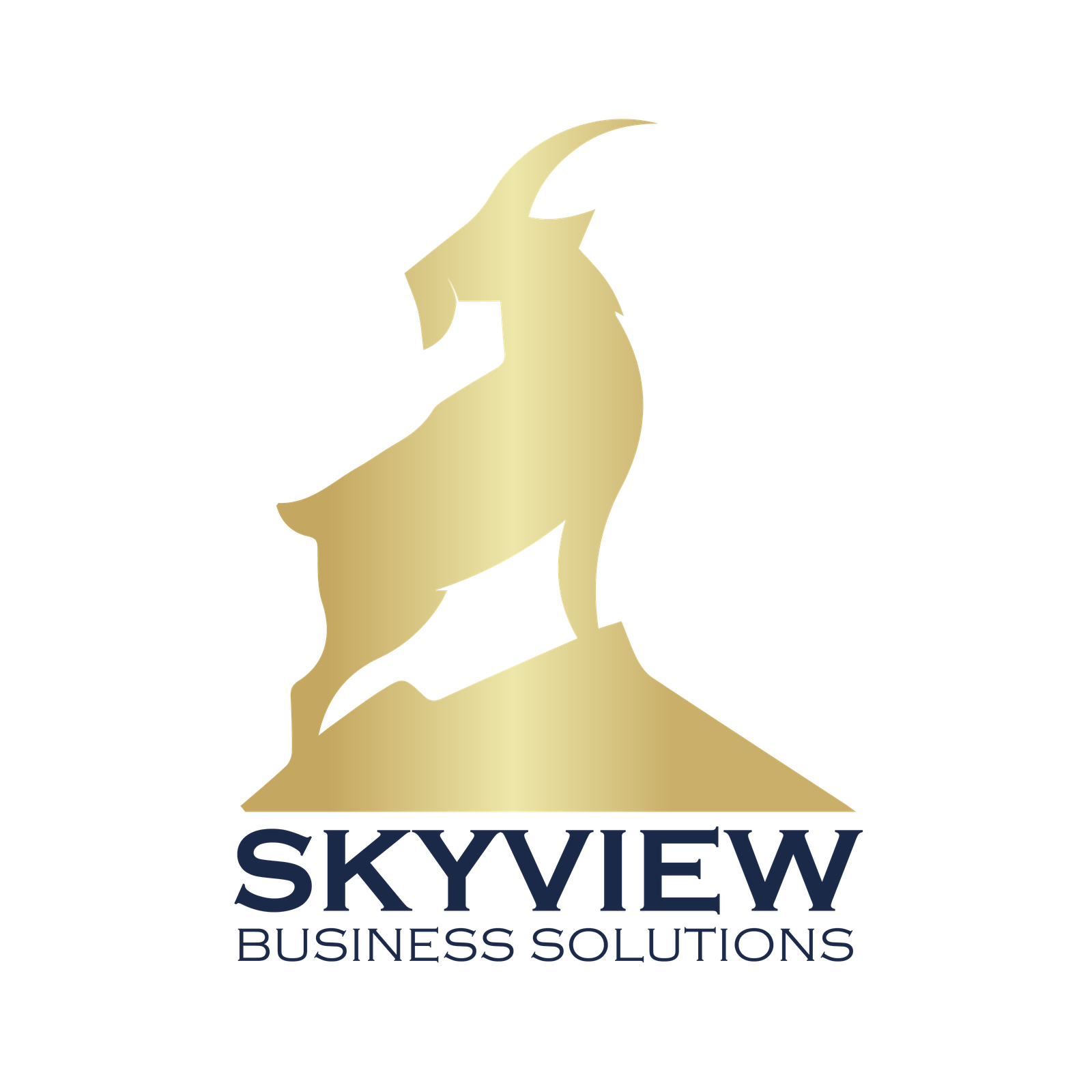 Expert Legal Case Management Consultant in Noblesville – Skyview Business