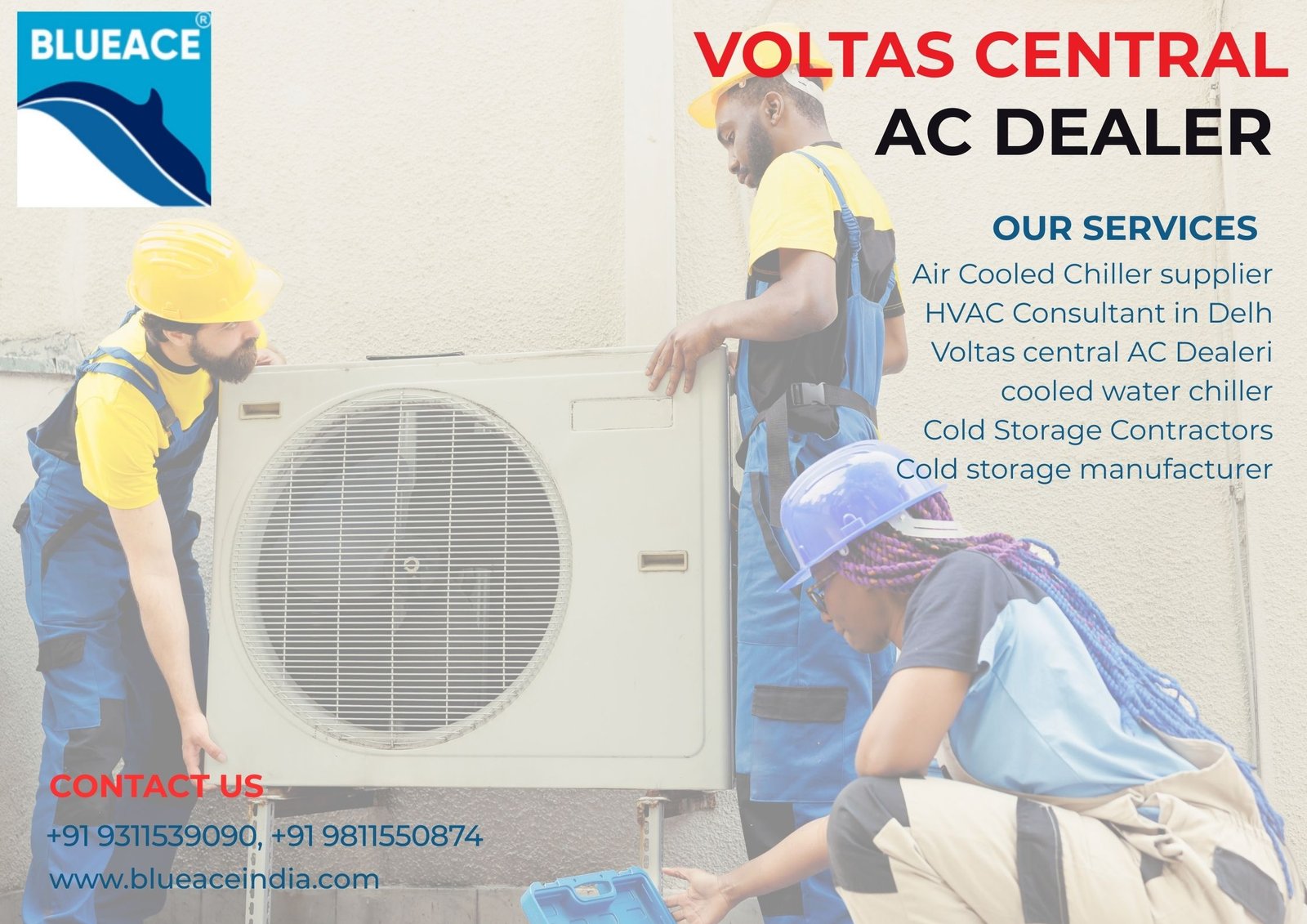 Expert Cold Storage Contractors in Delhi | Blueace India Limited