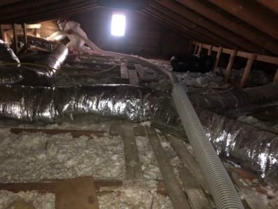 attic-cleanup-1