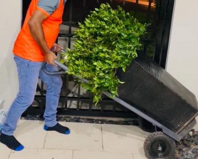 Professional Removalists in Prospect | JAC Removals