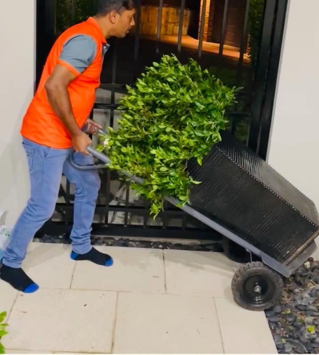 Professional Removalists in Prospect | JAC Removals