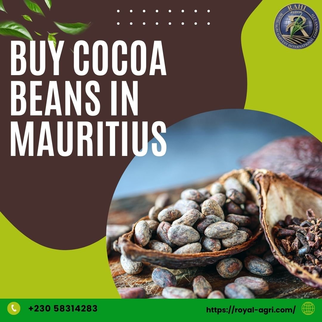 Buy Cocoa Beans in Mauritius