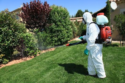 house-garden-pest