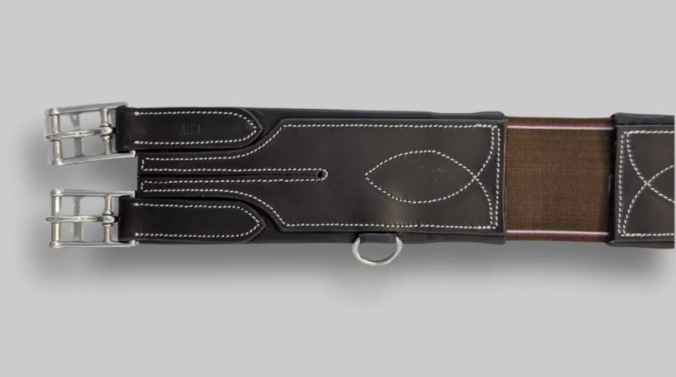 Neoprene Long Girth for Horses | CanterCart