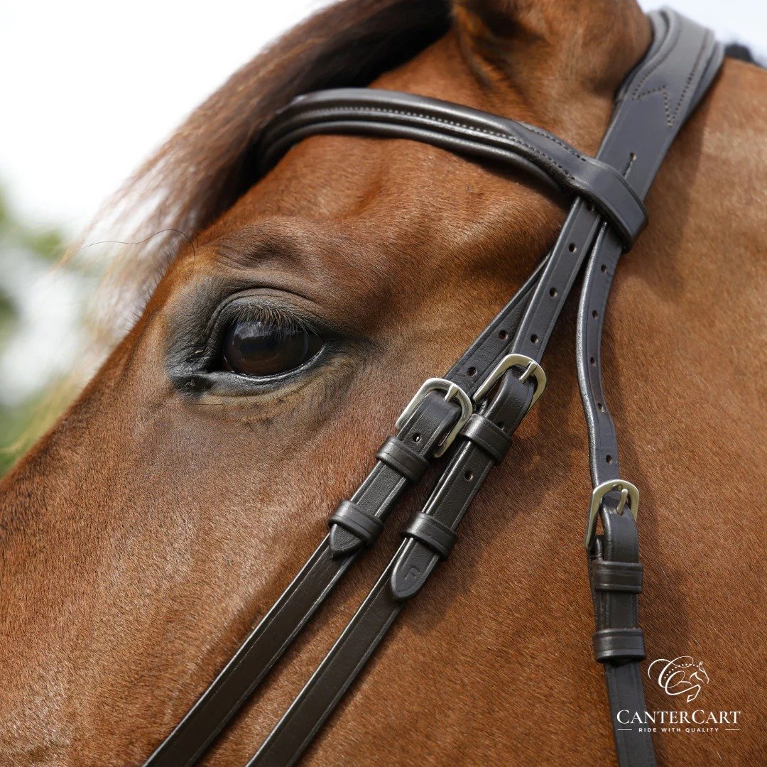 Good Quality Horse Tack Online at CanterCart