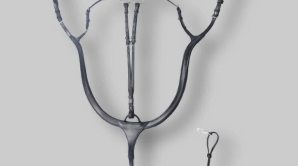 Good Quality Horse Tack Online at CanterCart