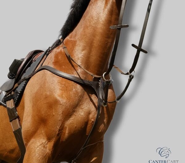 Good Quality Horse Tack Online at CanterCart