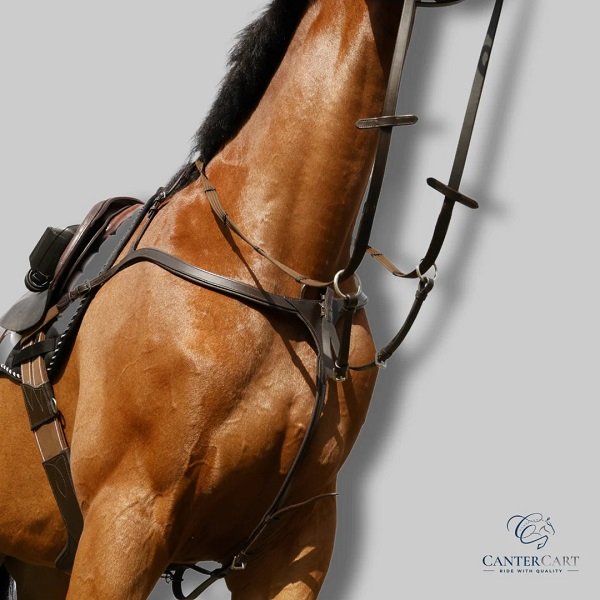 Good Quality Horse Tack Online at CanterCart