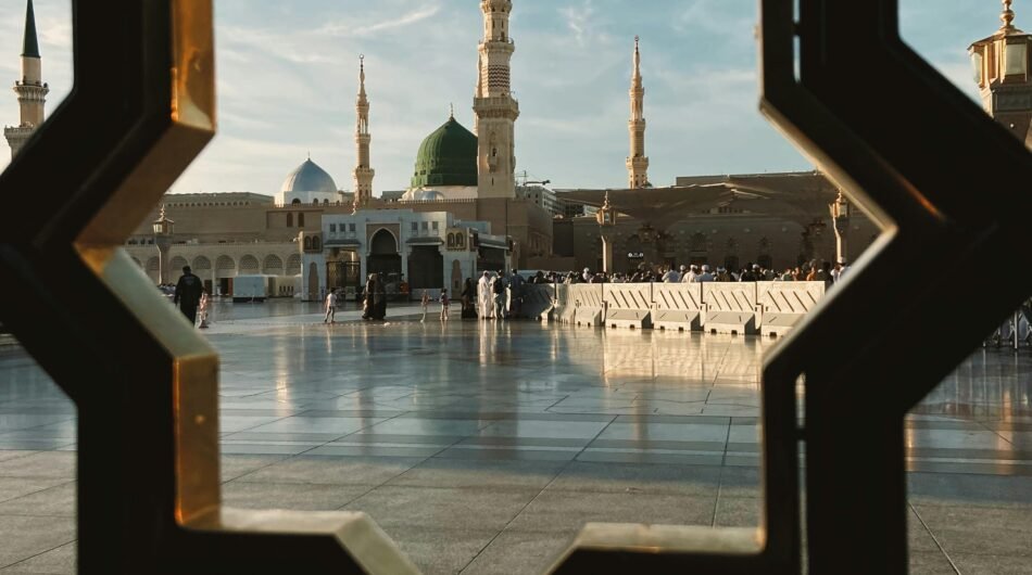 pexels-hatice-796619215-27131989-1