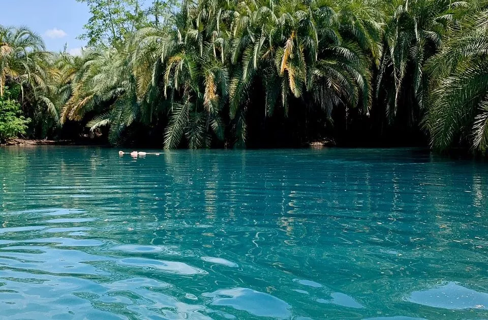 Tanzania Day Trips: Explore Wild Beauty