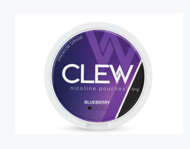 Blueberry Nicotine Pouches