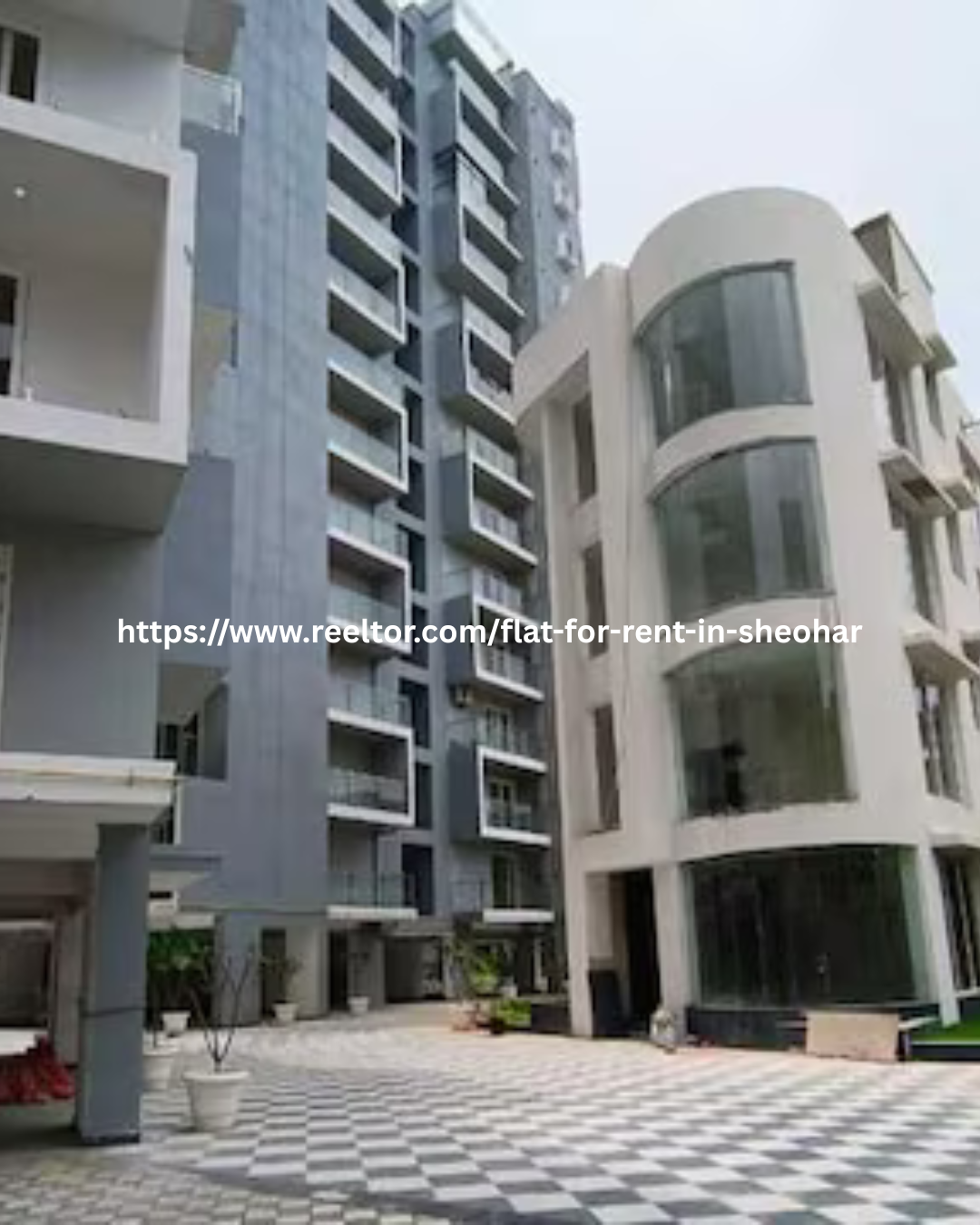 Big Flat for Rent in Sheohar