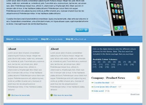 vibrant-cms-500×360-1-2