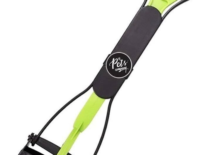 51nJvNj88OL._AC_UF10001000_QL80_