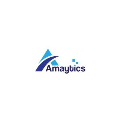 Amaytics-Digital-Marketing-Agency-in-Gurgaon