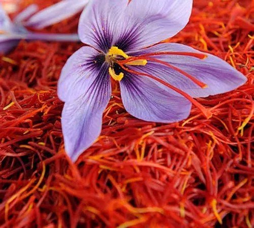 Indulge in the exotic taste of Saffron.
