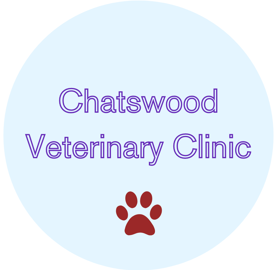 Chatswood Veterinary Clinic | Full Range Veterinary Services
