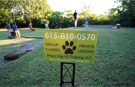 Looking for the Best Dog Training in Nashville for Your Furry Friend?