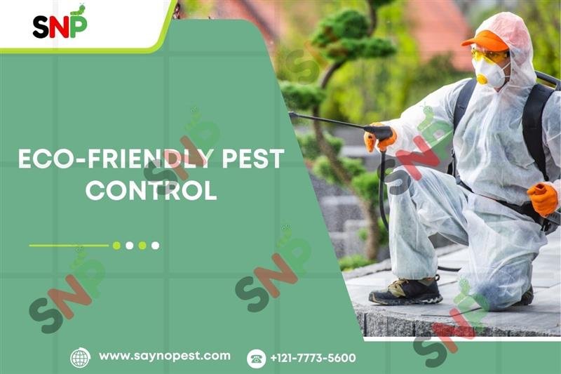 Safe & Reliable Wasp Control Services – Protect Your Home Today