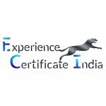 Experience-Certificate-India-2