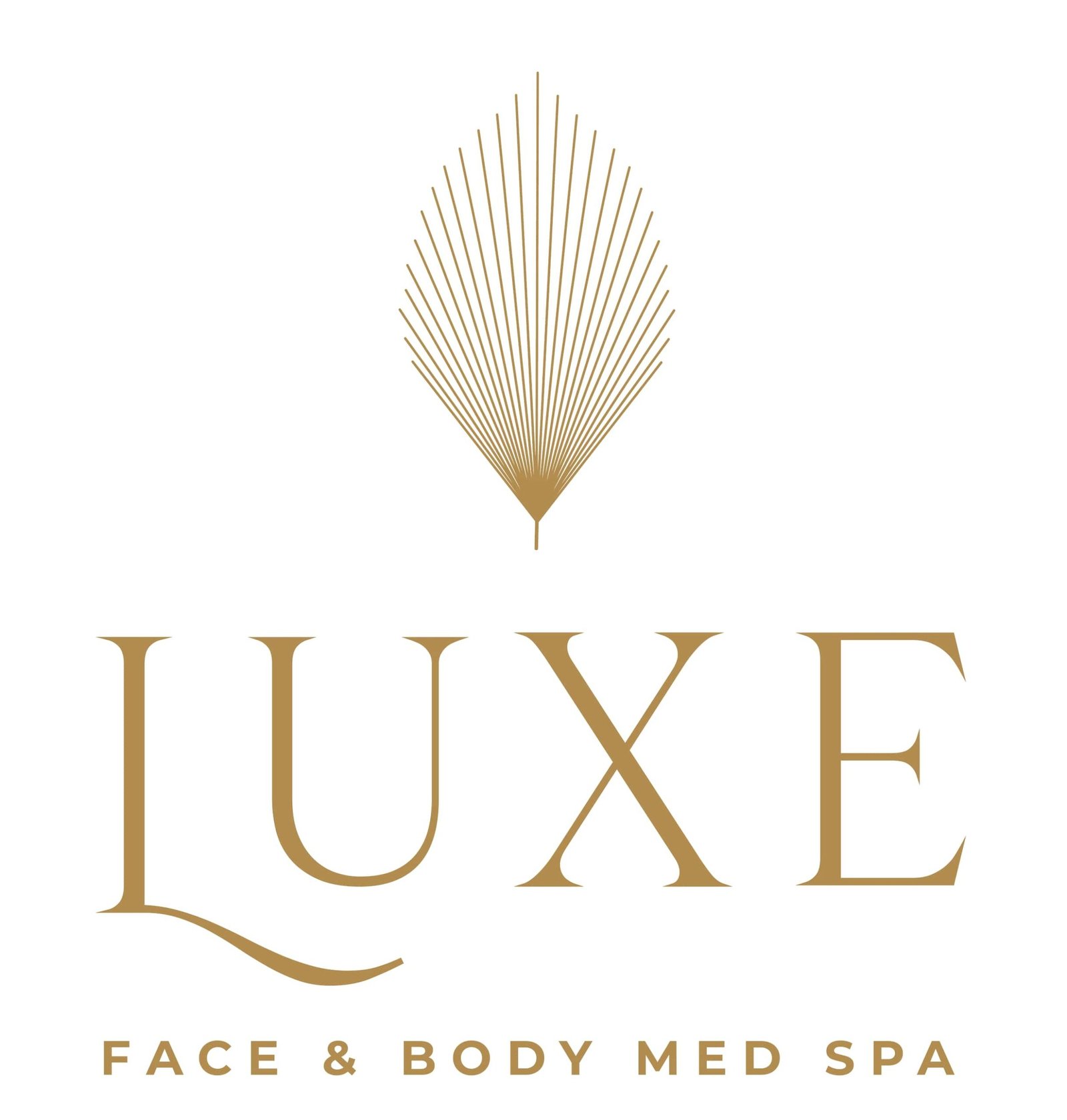 Luxe Face and Body Med Spa