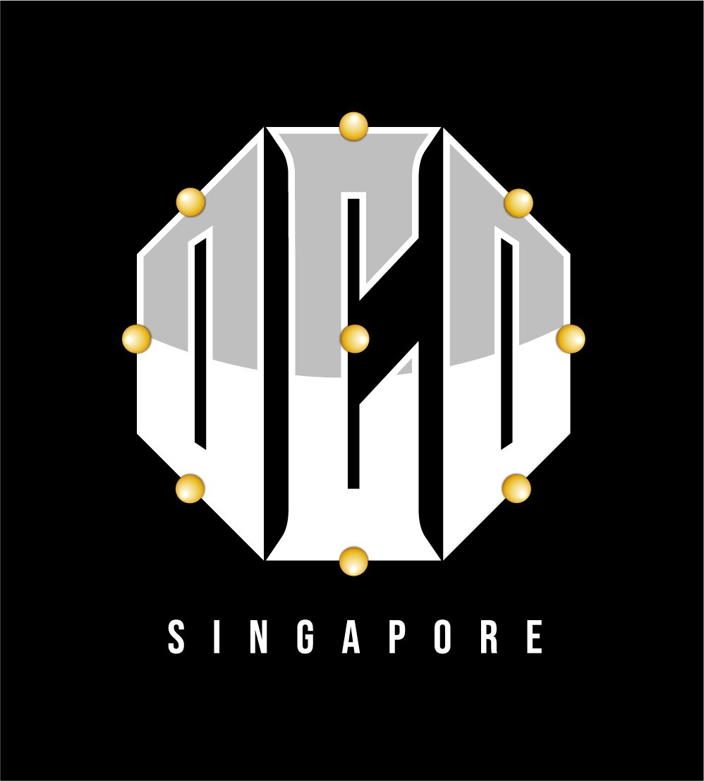 Octopus Car Detailing SG