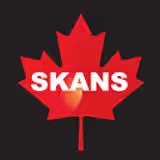 Skans-Accountants-