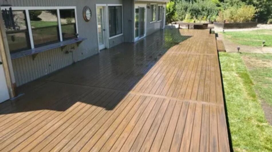 Untitled-design-25-1