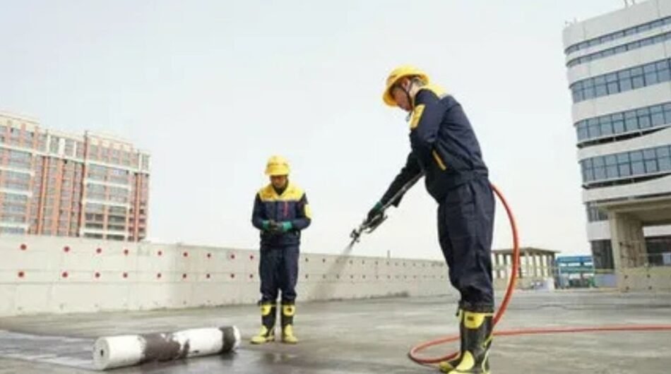 Untitled-design-29-6