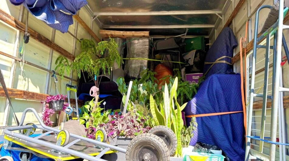 Your Moving Specialists in Toongabbie East- JAC Removals