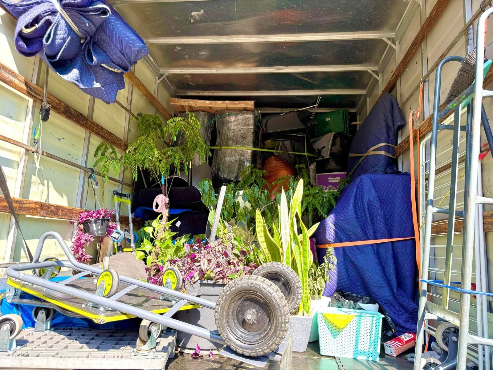 Your Moving Specialists in Toongabbie East- JAC Removals