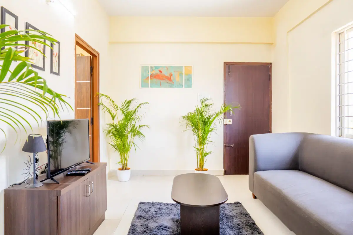 Spacious Flat for Rent in Robertson Pet