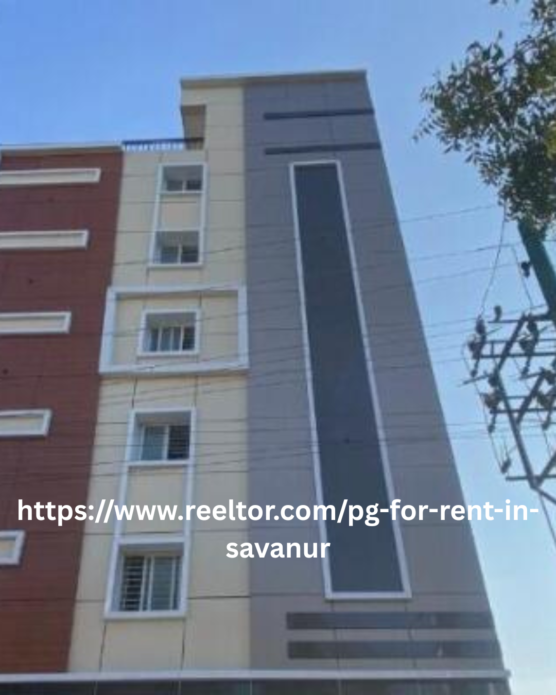 Furnished PG Available For Rent In Savanur