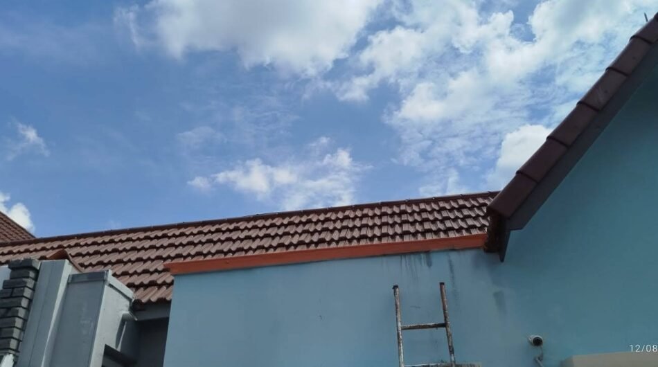 imgi_37_Rooftop-Waterproofing-Landed-