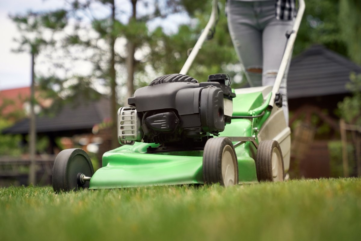 Hope Cleaning Services | Best Lawn Mowing Service Sydney