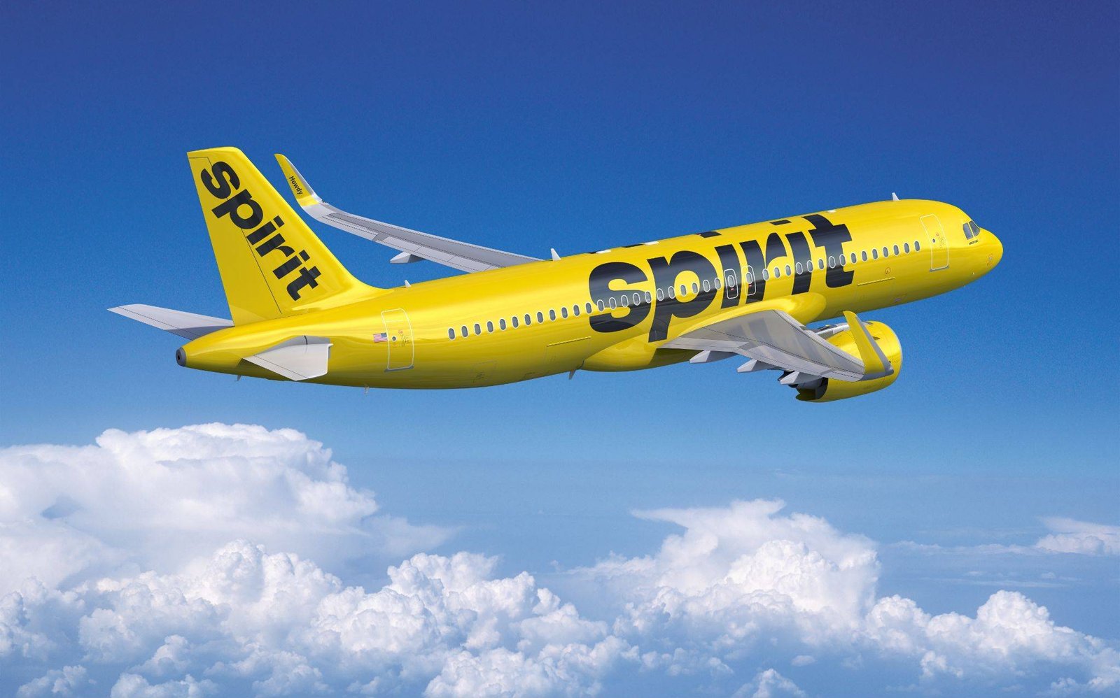 Spirit Airlines name change policy