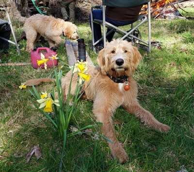 677bb169c273bad5e3afe3f63