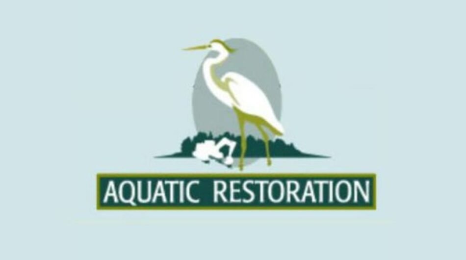 Professional Pond Maintenance in Lawrenceville for Long-Term Results