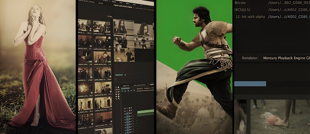 Best Multimedia Courses in delhi for career building!