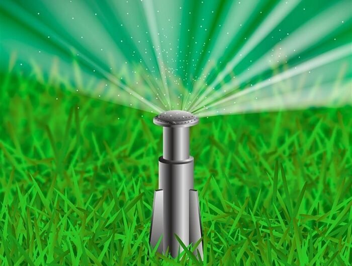 Irrigation-Repair-North-Georgia-2