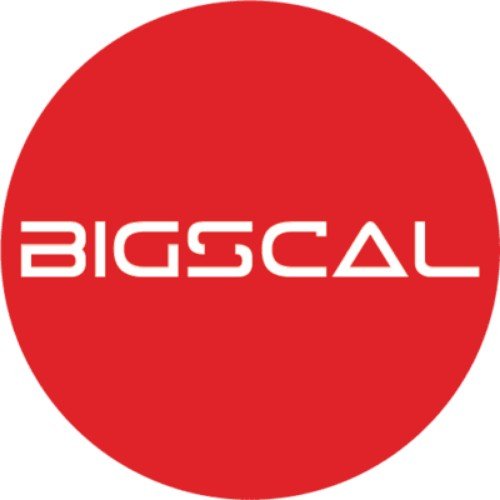 LOGO-BS-1-1