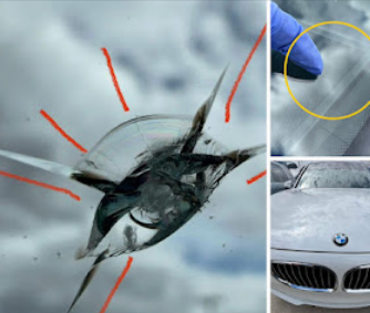 Mobile-Windshield-Repair-Edmonton